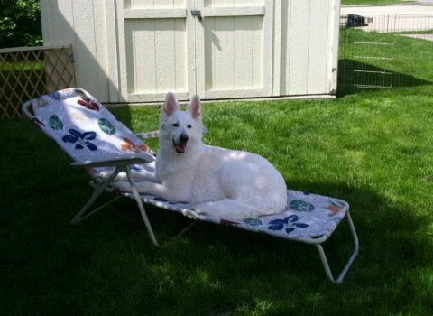 Celeste lounging on the lawn chair.